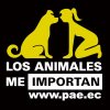 Los Animales Me Importan Negra Chica