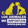 L.A.M.I. Chica Azul