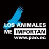 L.A.M.I. Aguila Negro