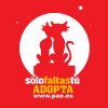 AMISTAD Rojo