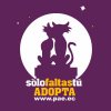 ADOPTA GATOS Morado